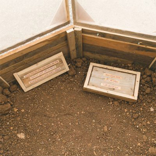 Photo from the inside showing the floor made of soil